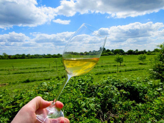 Alexandre Bain - FineWineToMe.com